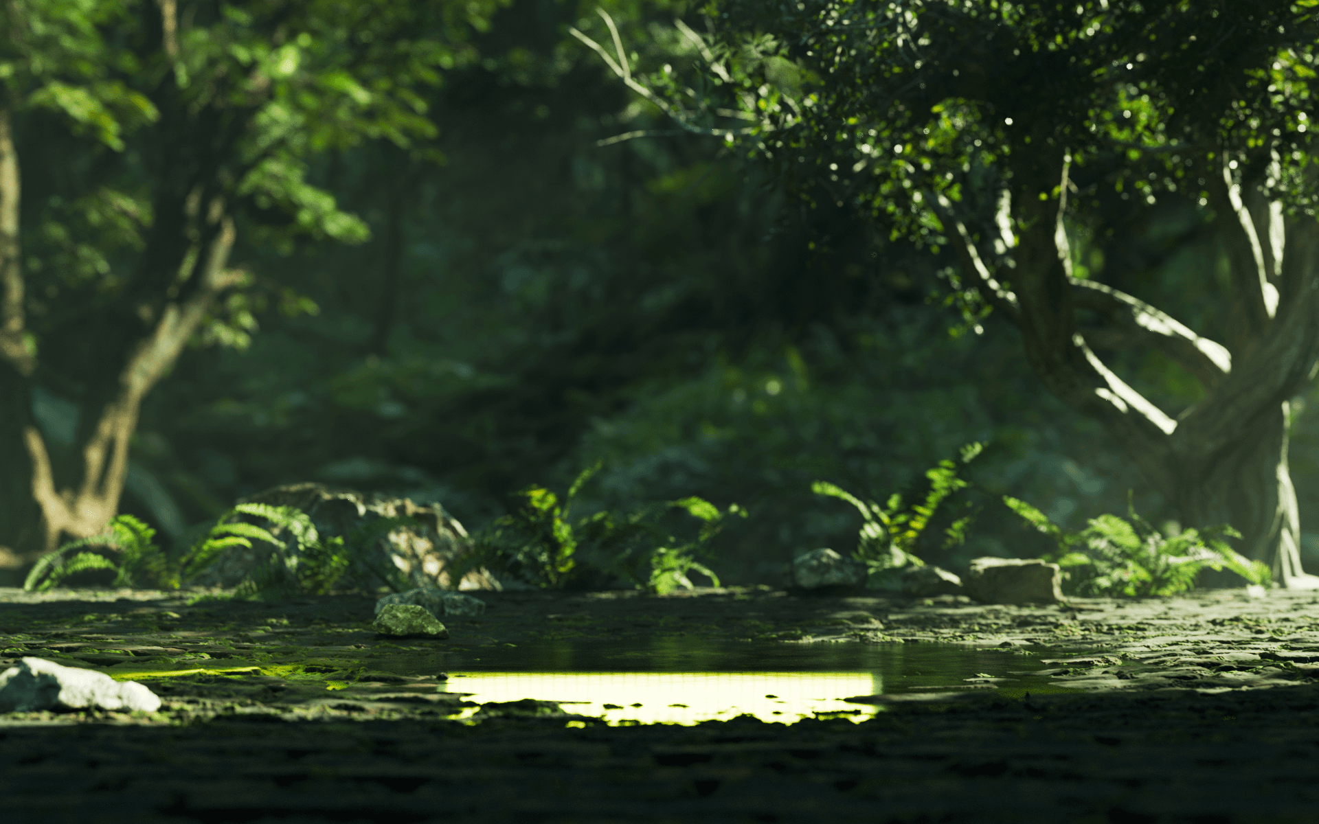 A synthesizer floating in a dark forest